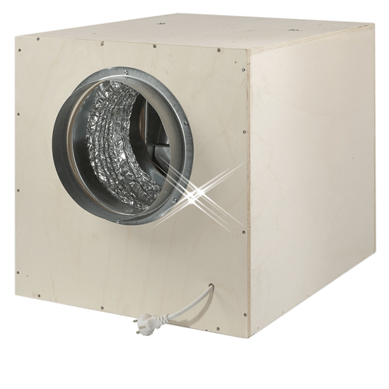 Berken-softbox001_67a13ffd-34b8-49a9-8c05-df3bac284c19