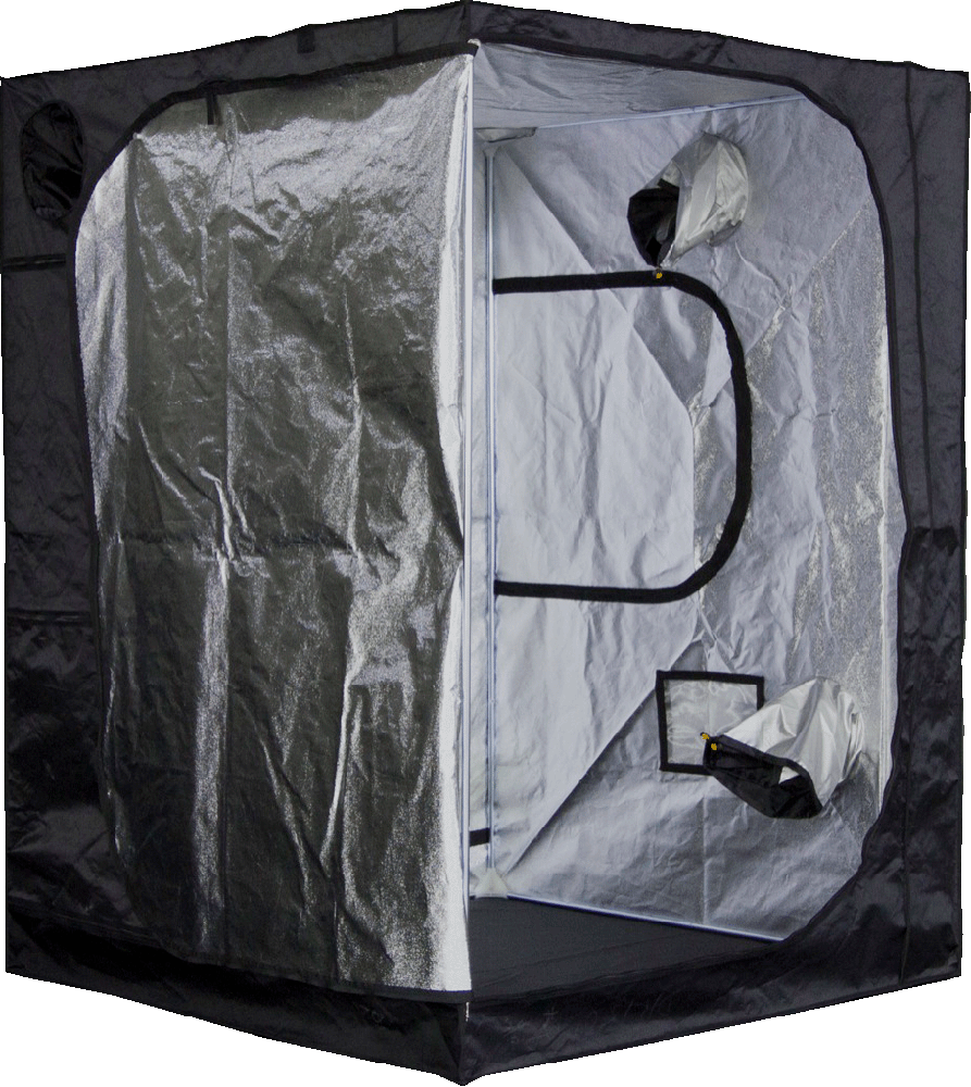 Mammoth-Pro150-Open_cutout