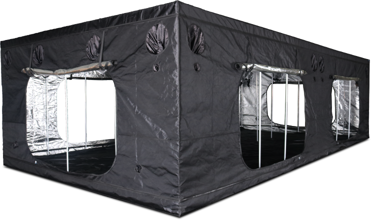 OCR900_TENT-1