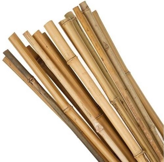 bamboostok