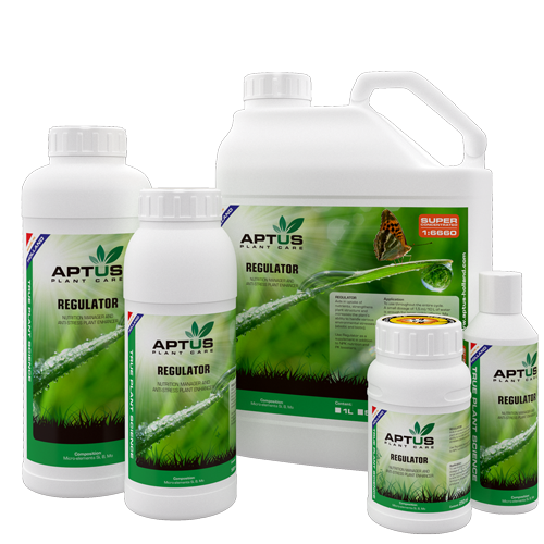 regulator_781cec20-9286-483b-bd3c-f29a4ca01d79