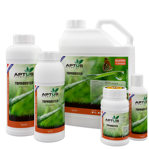 topbooster_fd2abb41-e5a6-4370-8fce-c111c501c9cd